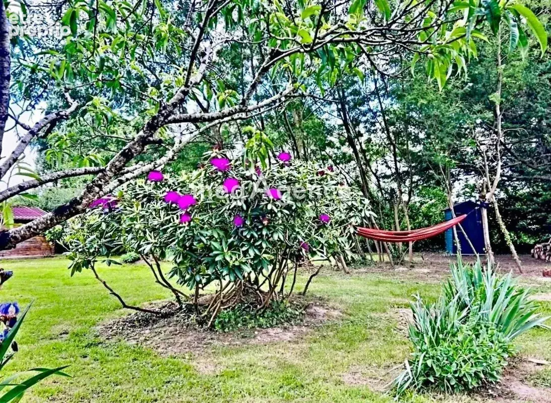 Proche Challans, Maison 3 chambres jardin piscine - photo 5