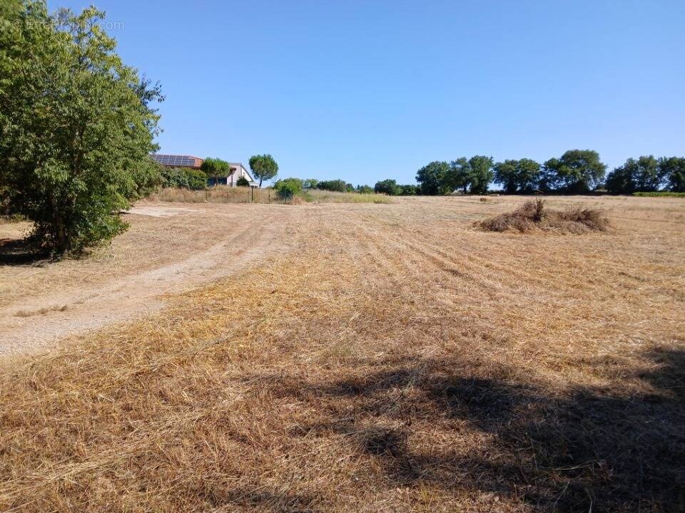 Terrain à VERARGUES