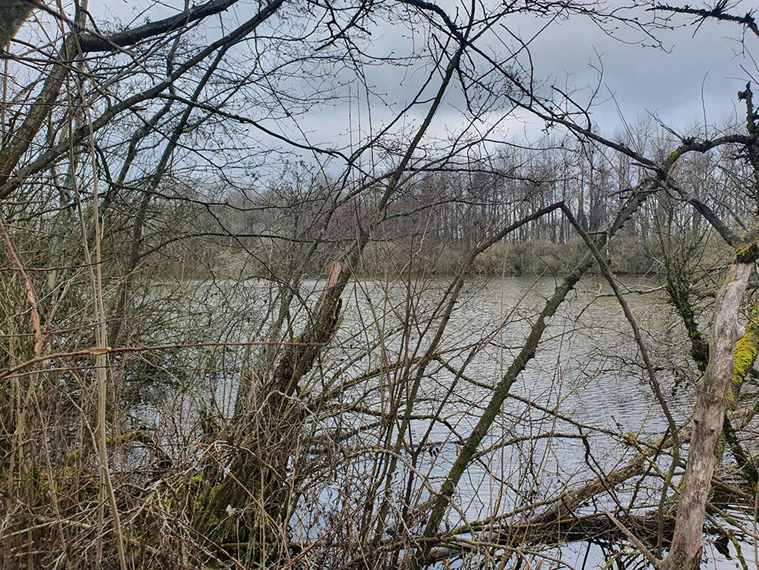 Terrain à SAINT-QUENTIN