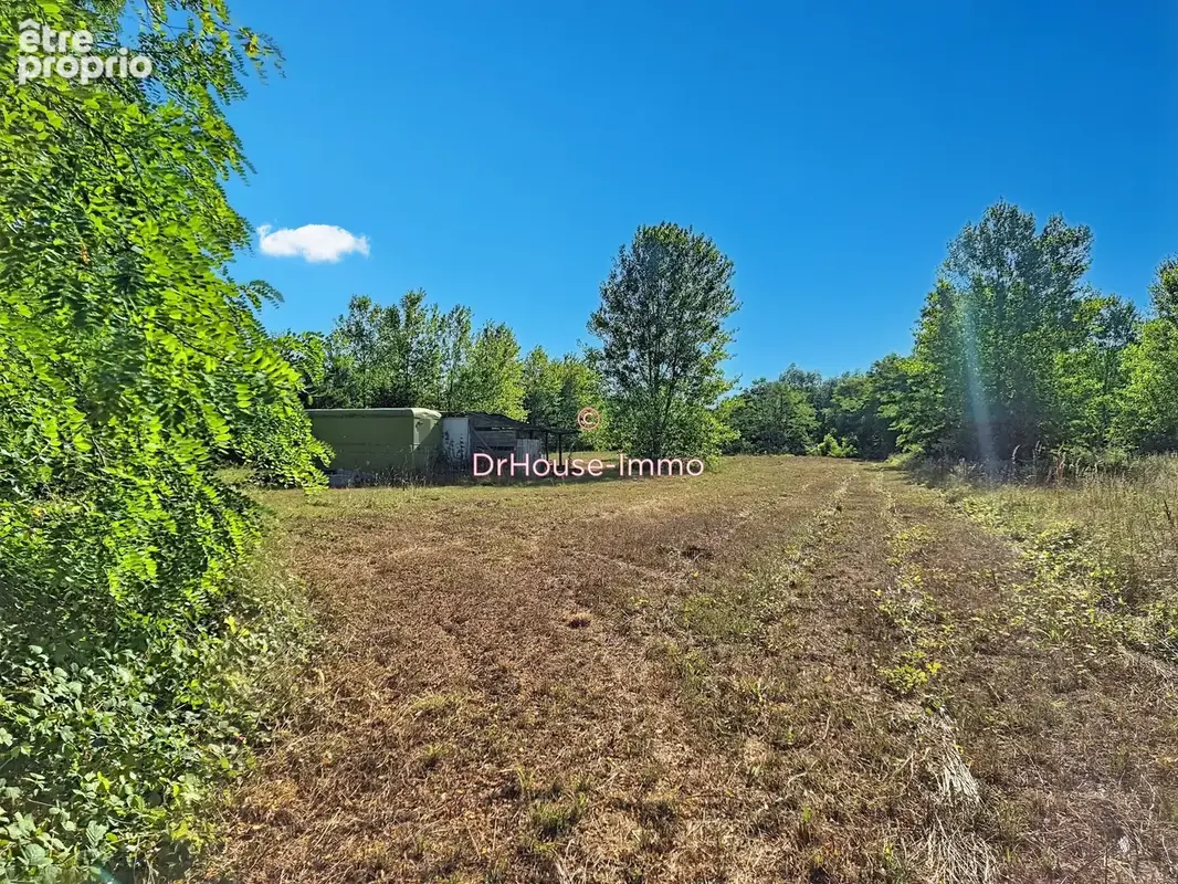 Terrain 23 052 m² à vendre à Chichery (89400) - photo 29