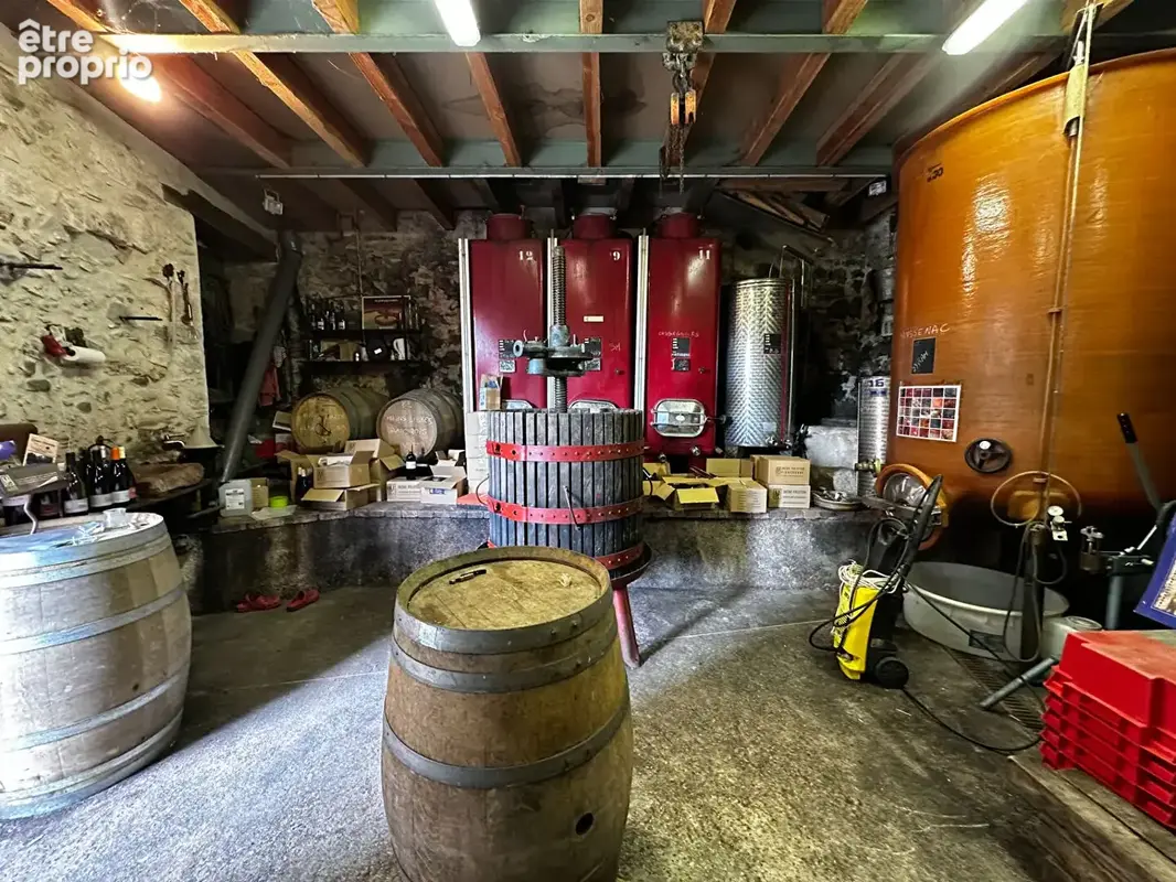 Charmante cave à vin, idéale pour être transformée en logement - photo 16