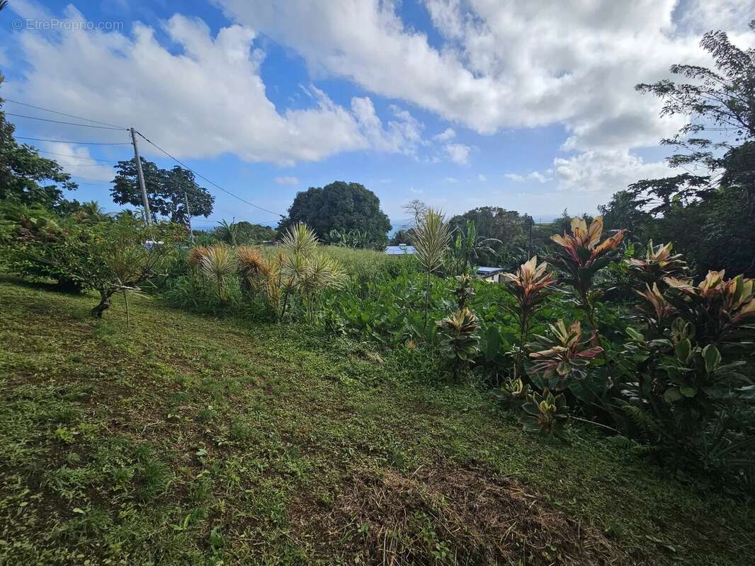 Terrain à SAINTE-MARIE