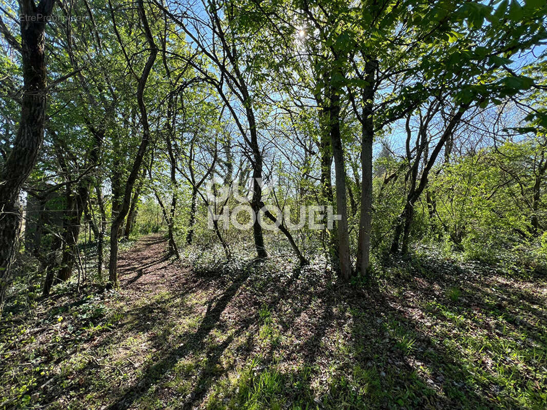 Maison à FONTAINEBLEAU