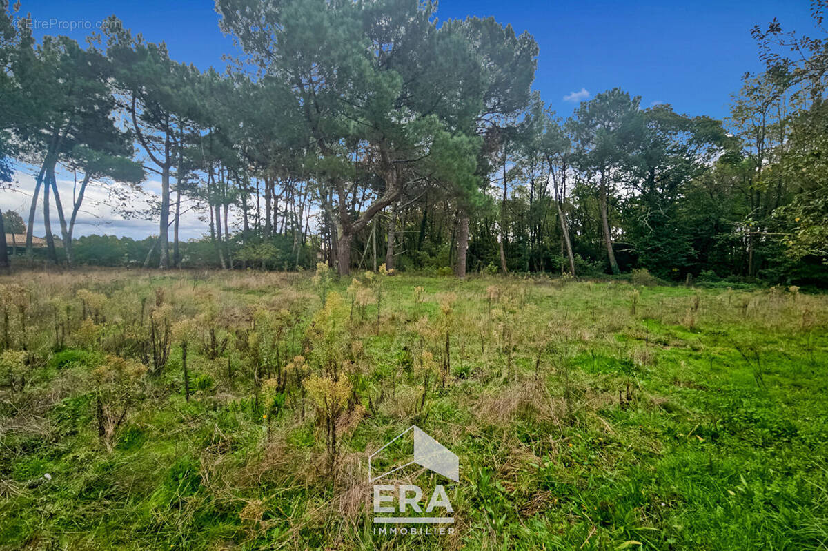 Terrain à SAINT-AUBIN-DE-MEDOC