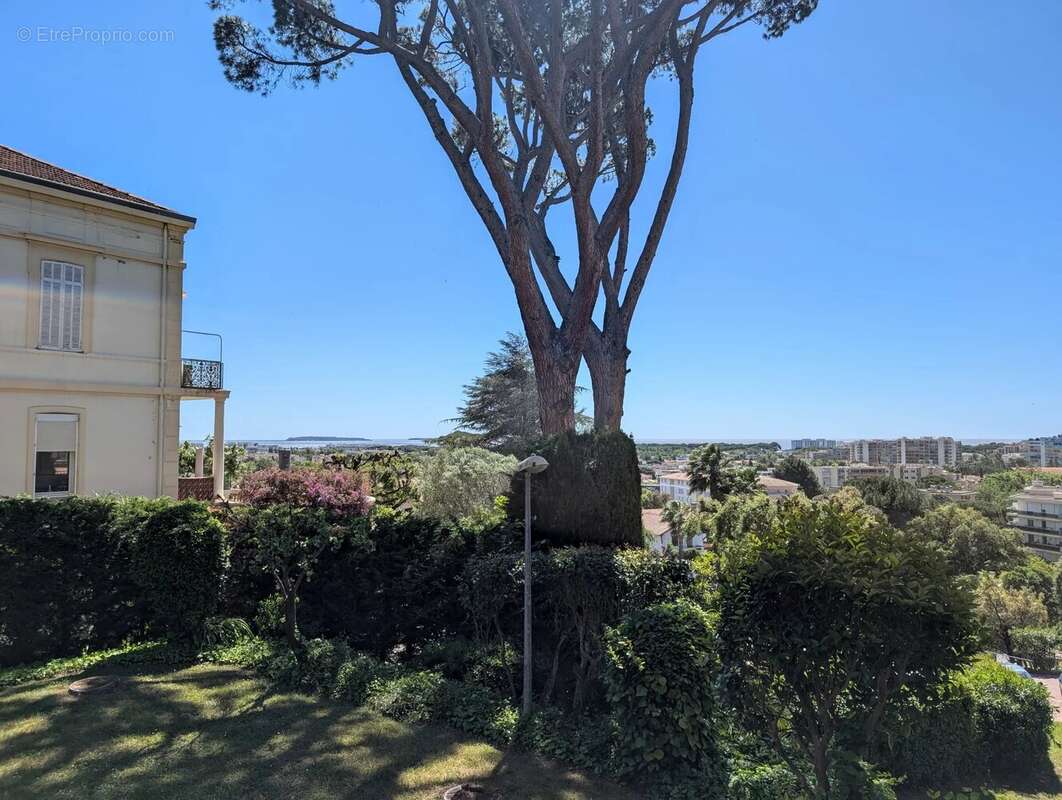 Superbe appartement t2 calme / vue mer grande terrasse et garage - photo 2