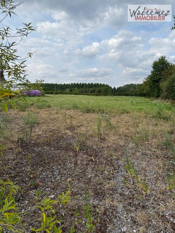 Terrain à PREUX-AU-BOIS