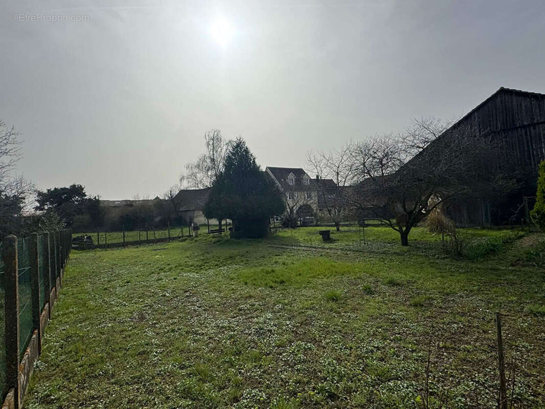 Terrain à GUNDOLSHEIM