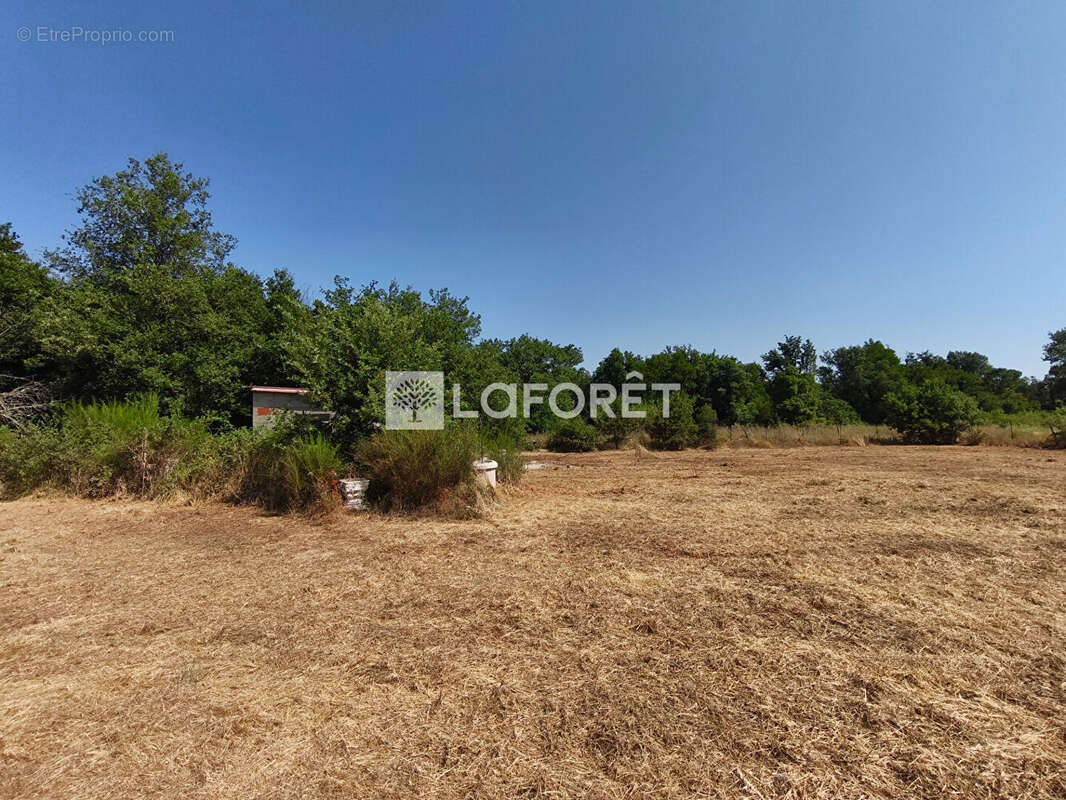 Terrain de loisirs non constructible avec cabanon Maureillas-Las-Illas - photo 7