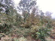 Terrain à SAINT-GILDAS-DES-BOIS