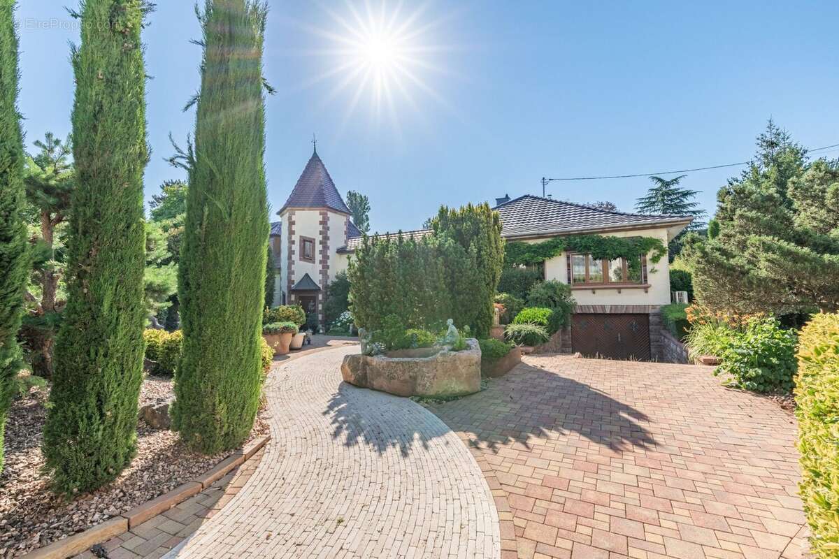 Maison 357 m² à Haguenau  - photo 2