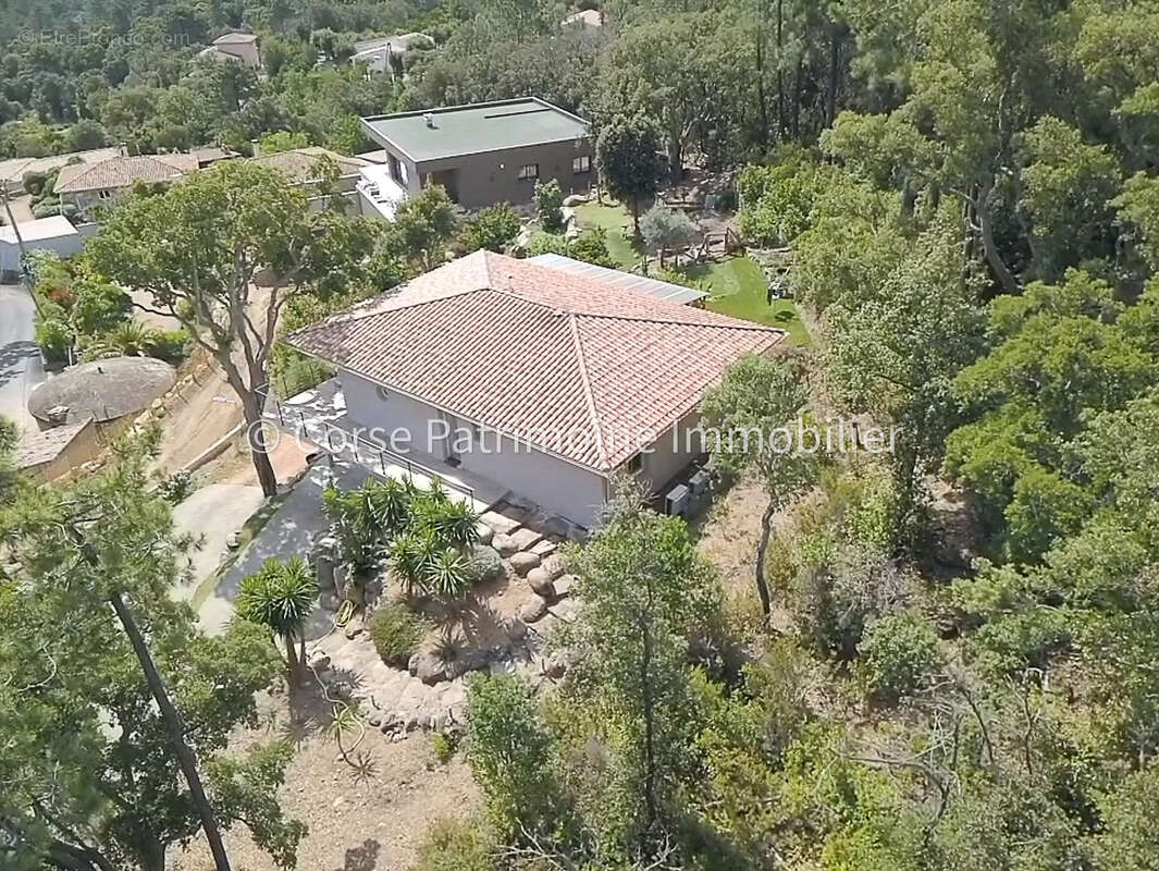 Maison à PORTO-VECCHIO