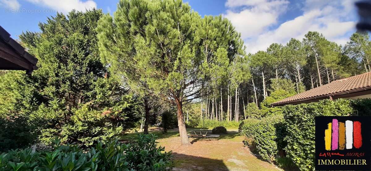 Appartement à LIT-ET-MIXE