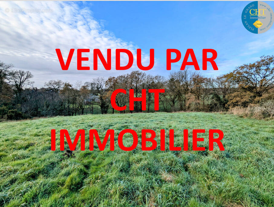 Terrain à MONTENEUF