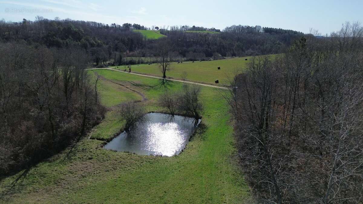 Terrain à DOUVILLE