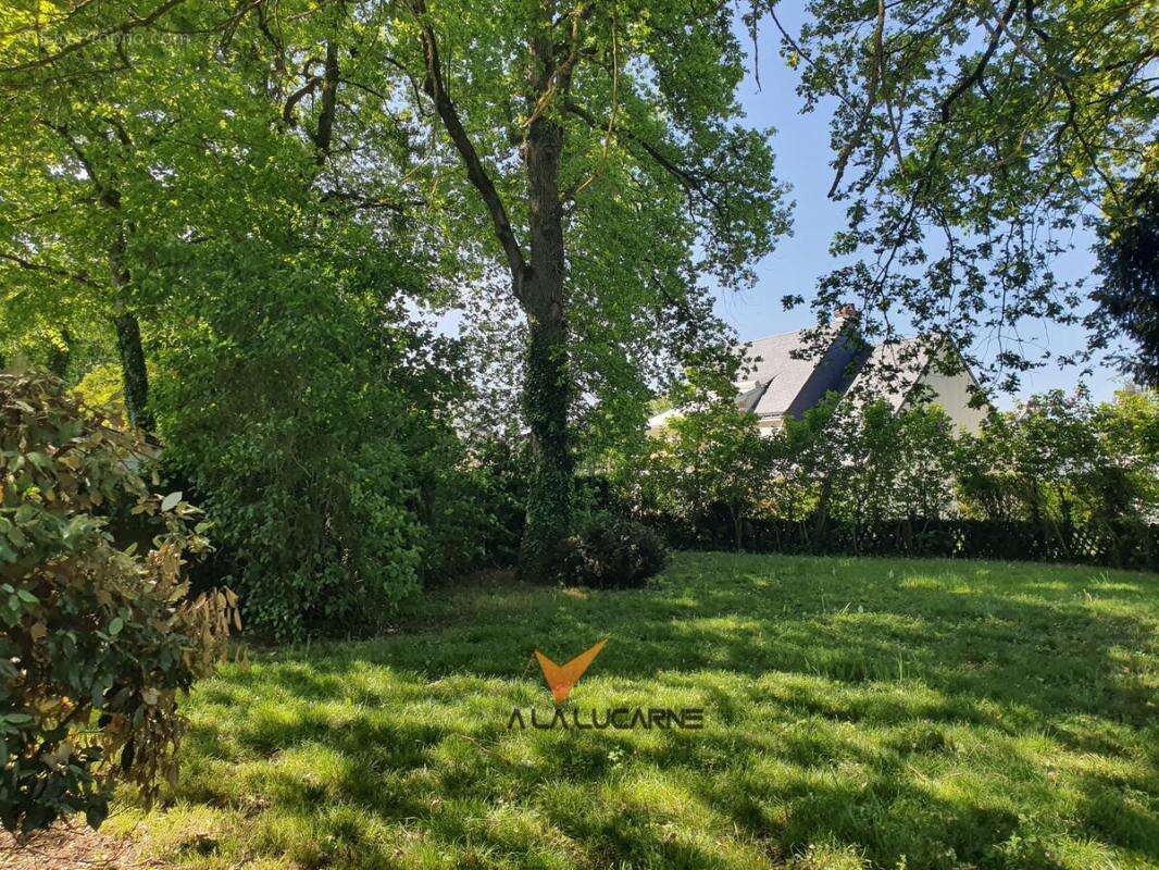 Maison 256 m² à Joue-Les-Tours  - photo 11