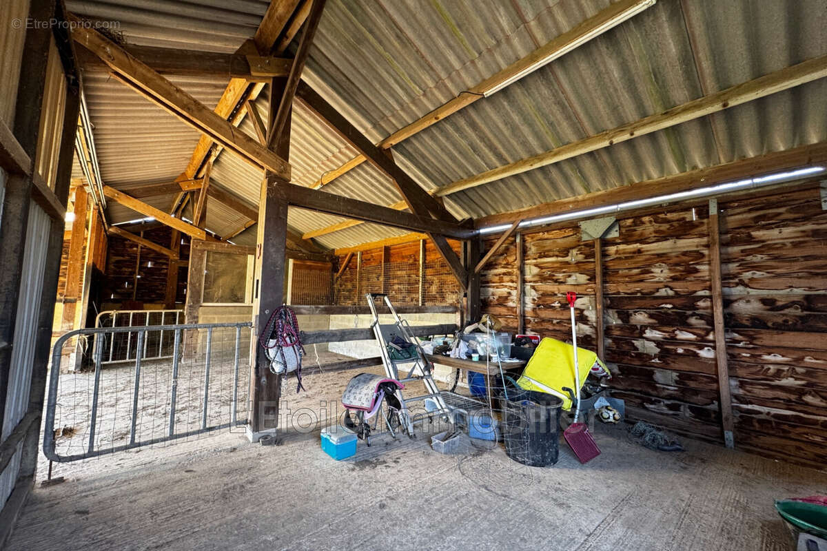 Terrain à LA CHAPELLE-MONTLIGEON