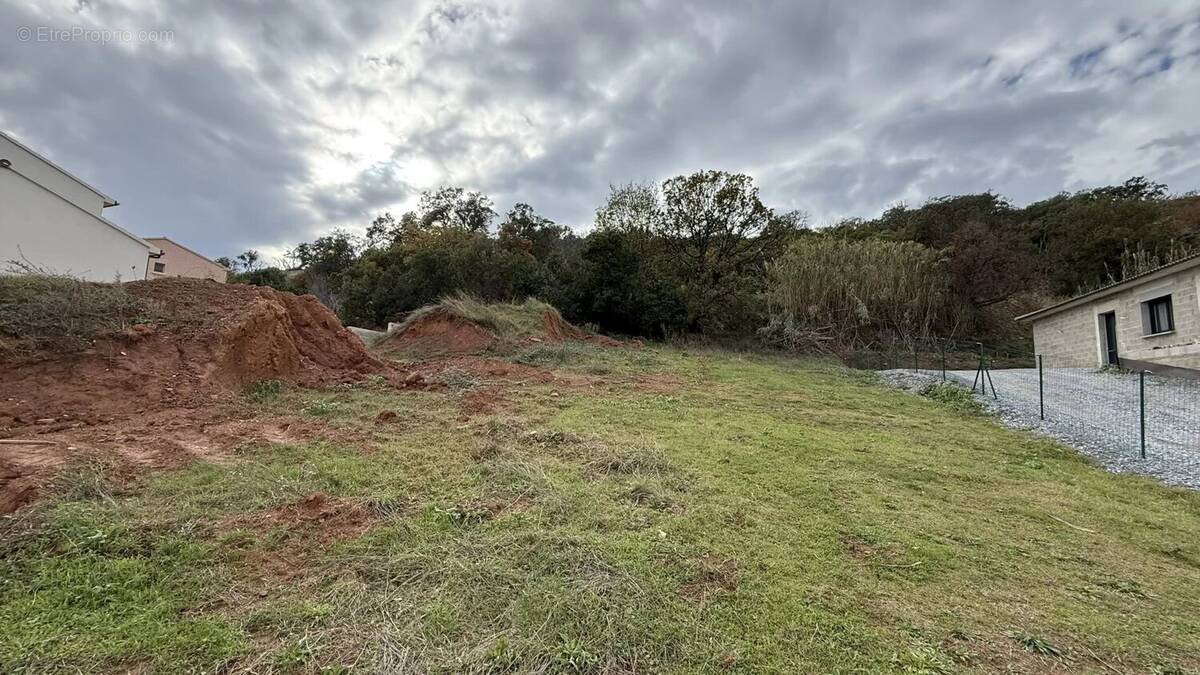 Terrain à POGGIO-MEZZANA