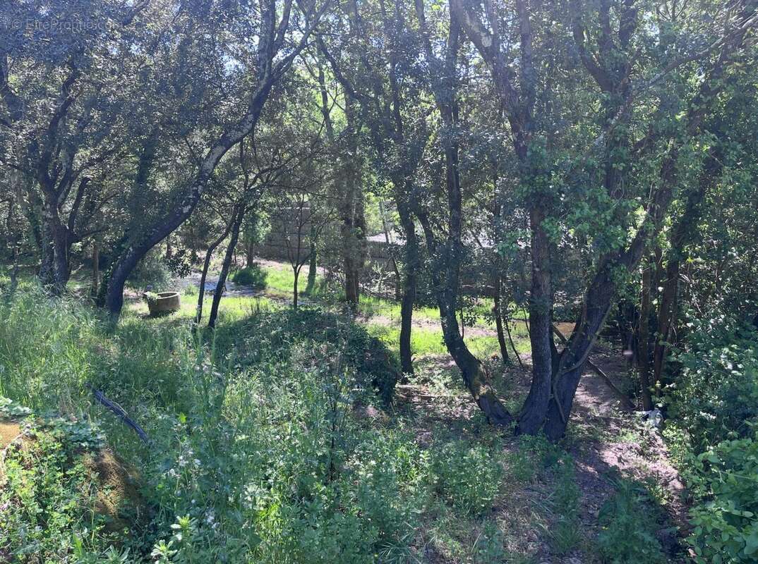 Terrain à SAINT-RAPHAEL