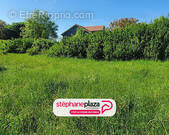 Terrain à FAULQUEMONT