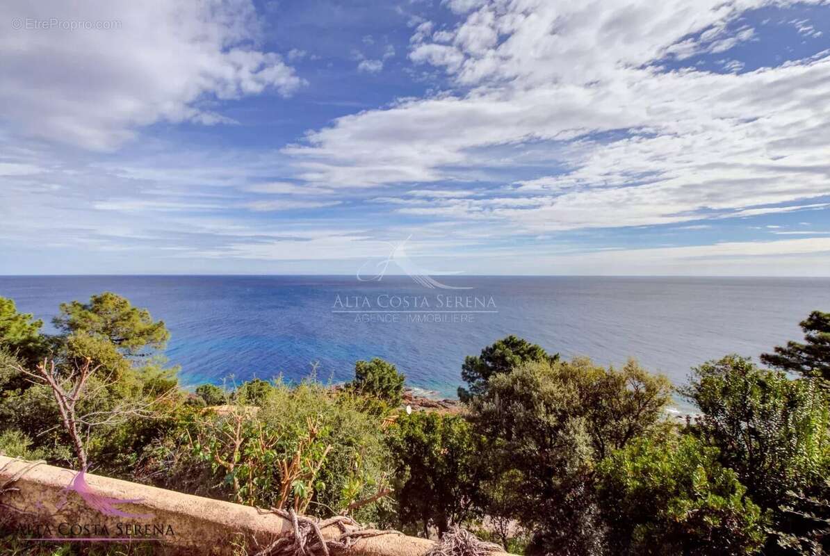 Appartement à CONCA