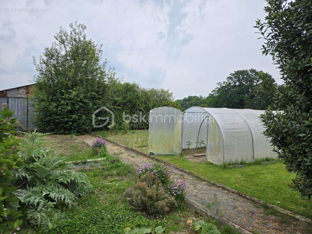 Maison à MARTIGNE-SUR-MAYENNE