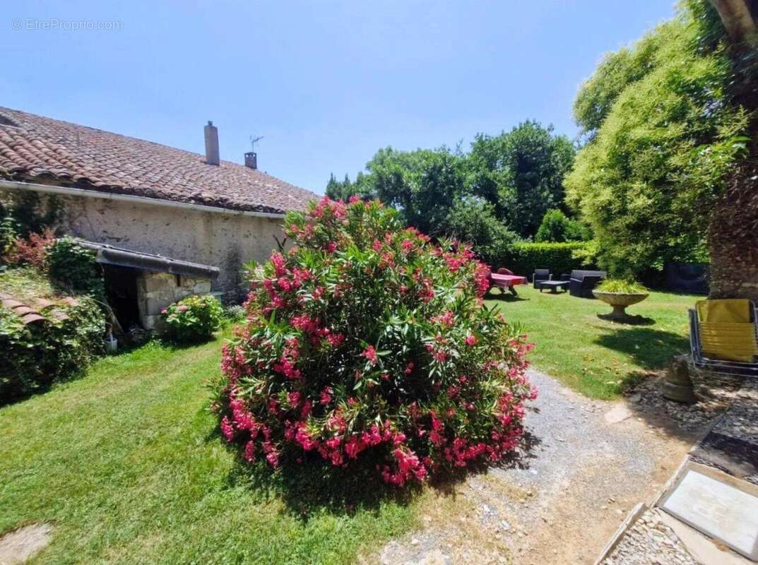 Photo 9 - Maison à CORDES-SUR-CIEL