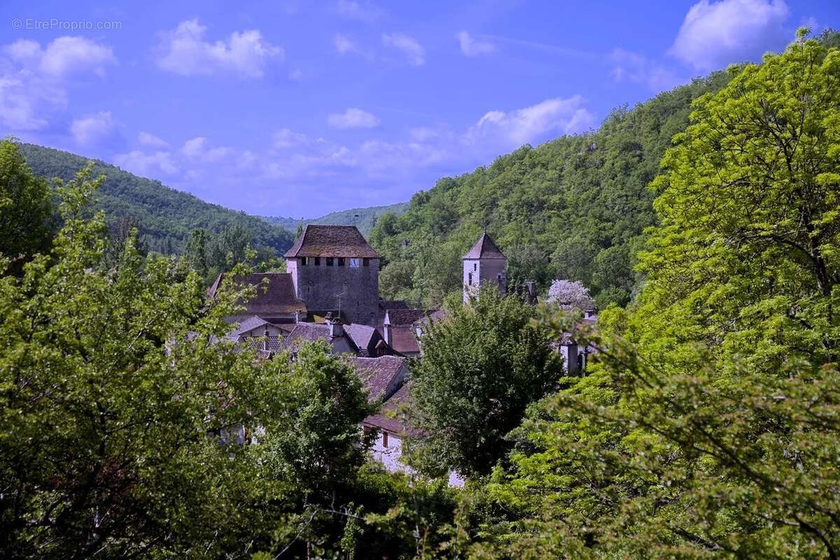 Rare dans le secteur, Tour de guet médiévale et maison d'amis avec piscine au cœur du parc naturel - photo 17