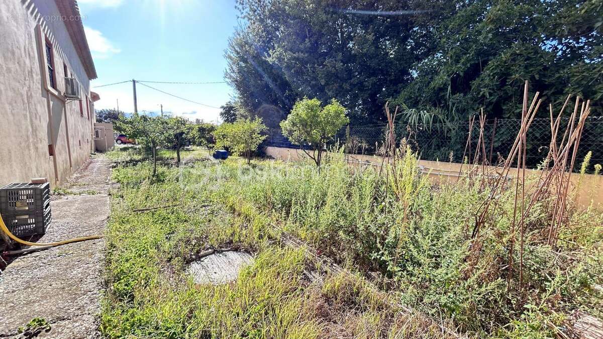 Maison à PEZILLA-LA-RIVIERE