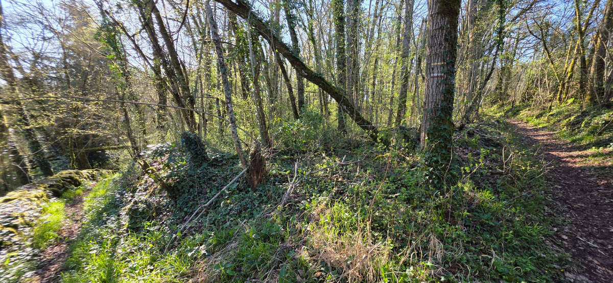 Terrain à ANGLES-SUR-L'ANGLIN