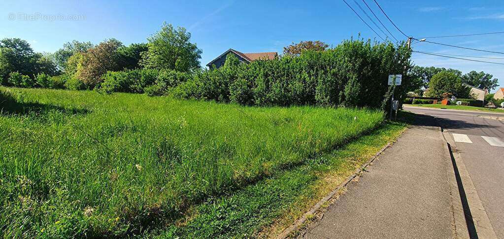 Terrain à FAULQUEMONT