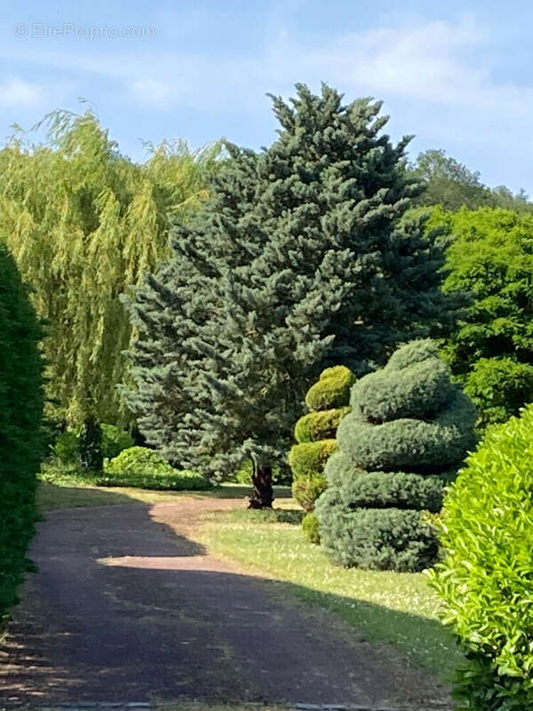 Terrain à HERBEVILLE