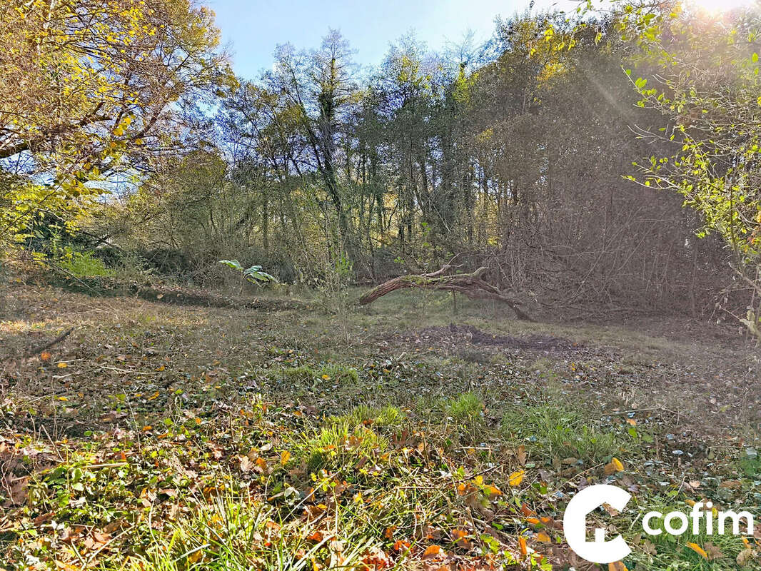 Terrain à SAINT-JULIEN-EN-BORN