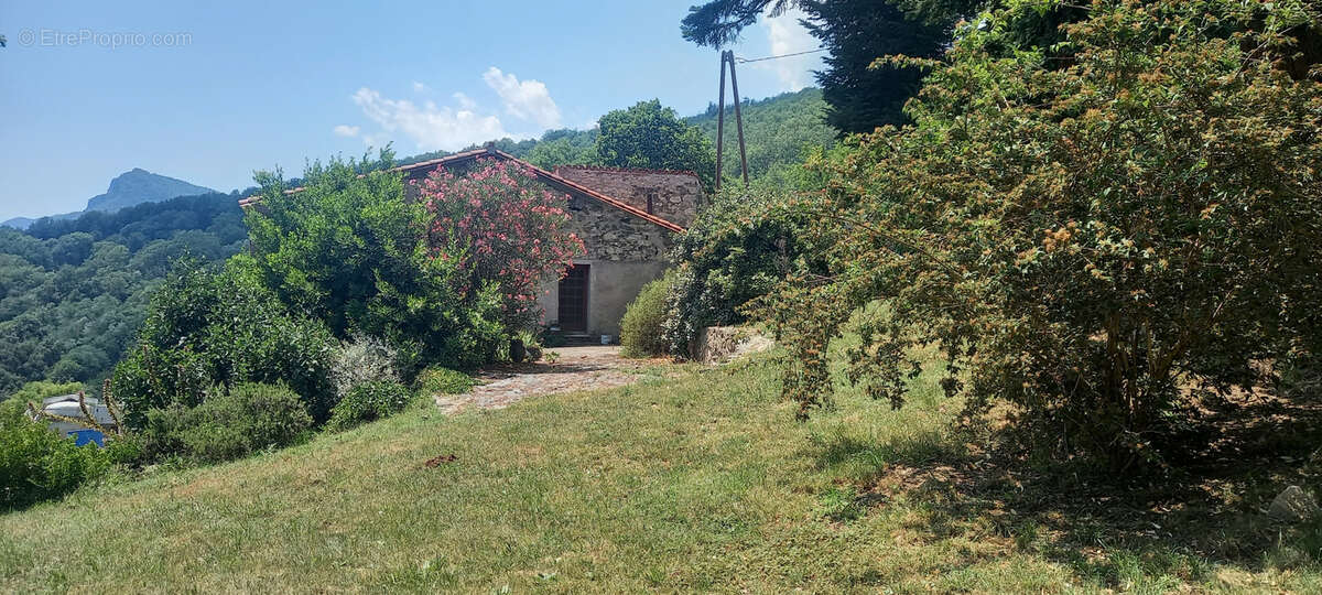 Maison à MONTFERRER