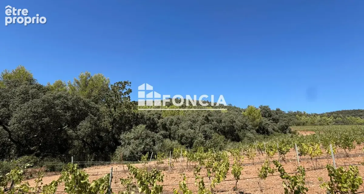  hyères – les borrels 3 ensemble foncier de 57 000 m² – plusieurs parcelles - photo 3
