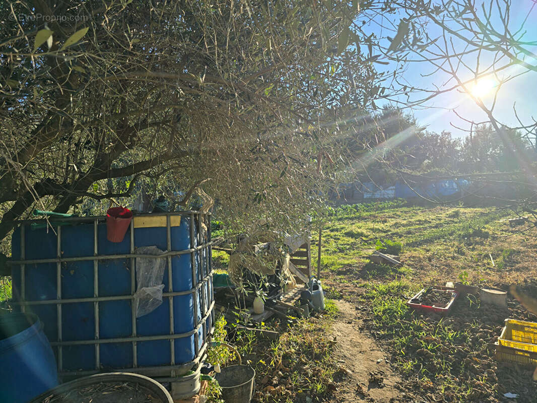Terrain à ARGELES-SUR-MER
