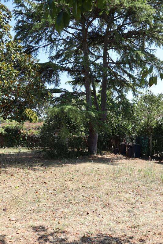 Terrain 497m² Villeneuve-Tolosane - photo 3