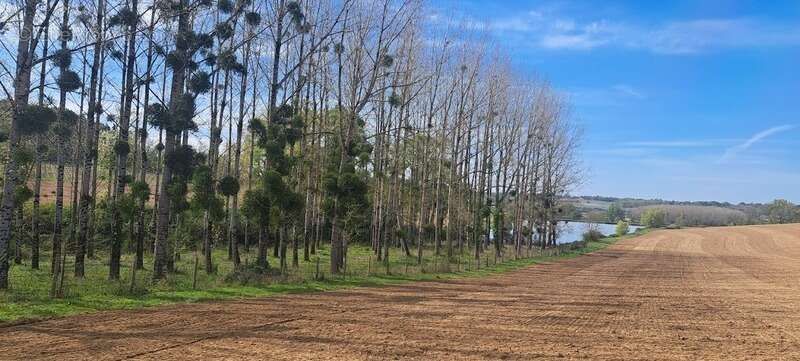 Maison à SAINTE-CHRISTIE-D&#039;ARMAGNAC
