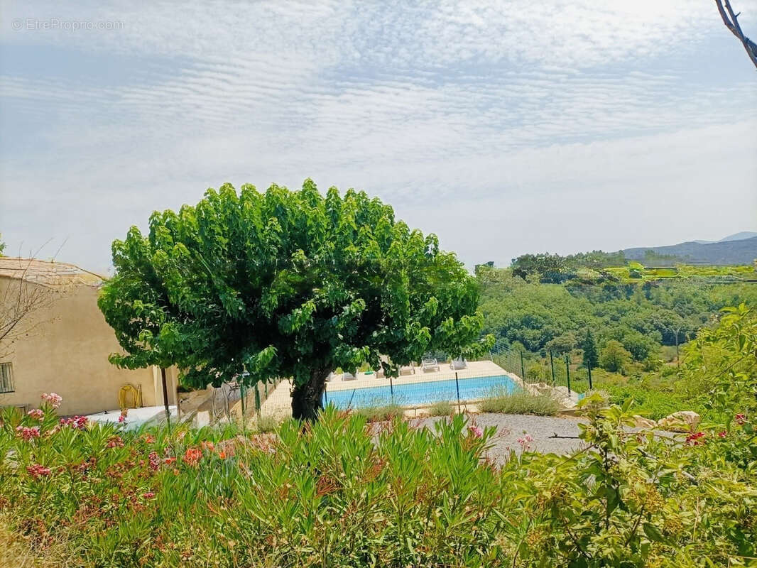 Maison à MONOBLET
