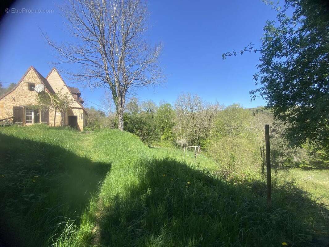 IMG6759 - Maison à LES EYZIES-DE-TAYAC-SIREUIL