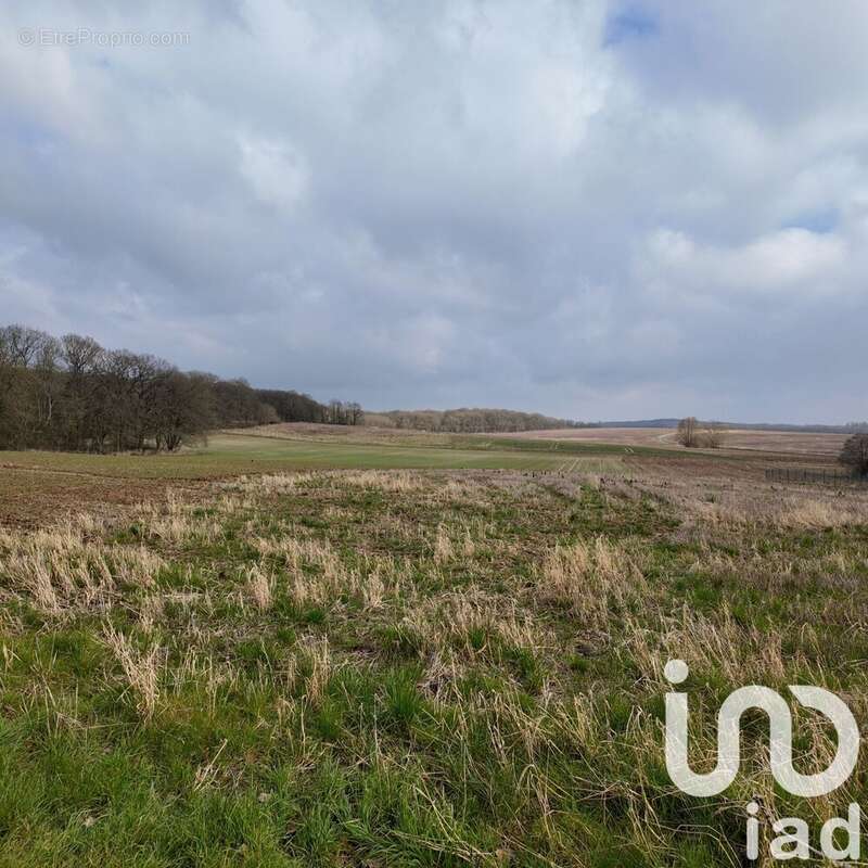 Photo 3 - Terrain à EMEVILLE