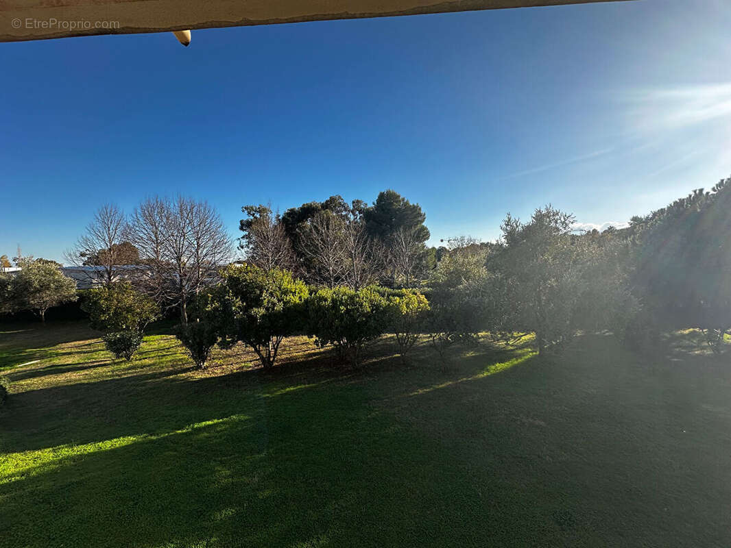 Appartement à BIGUGLIA