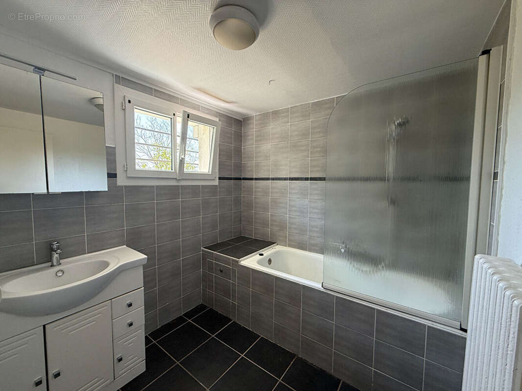 Maison avec grand parc - photo 12