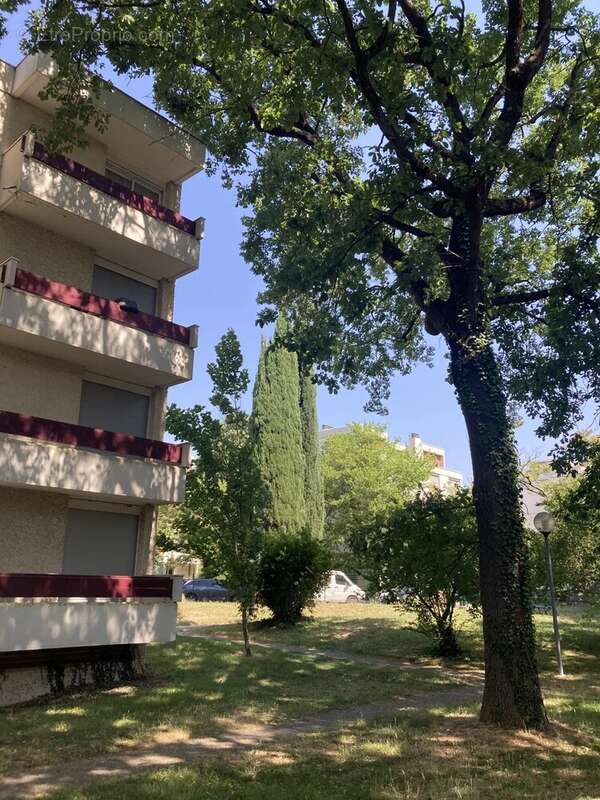 Saint Exupery - Appartement Type 2 - photo 4