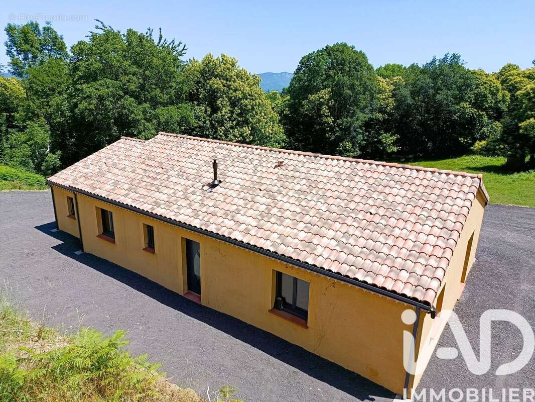 Maison 119 m² à Montoulieu  - photo 4