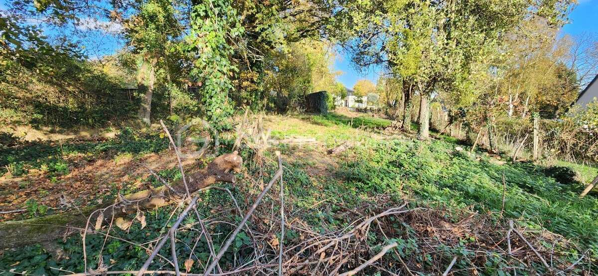 Terrain à CHANTELOUP