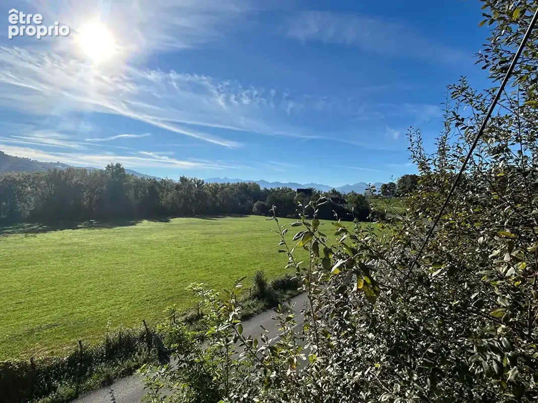 A vendre  le coucou des bois à ordiarp - photo 5