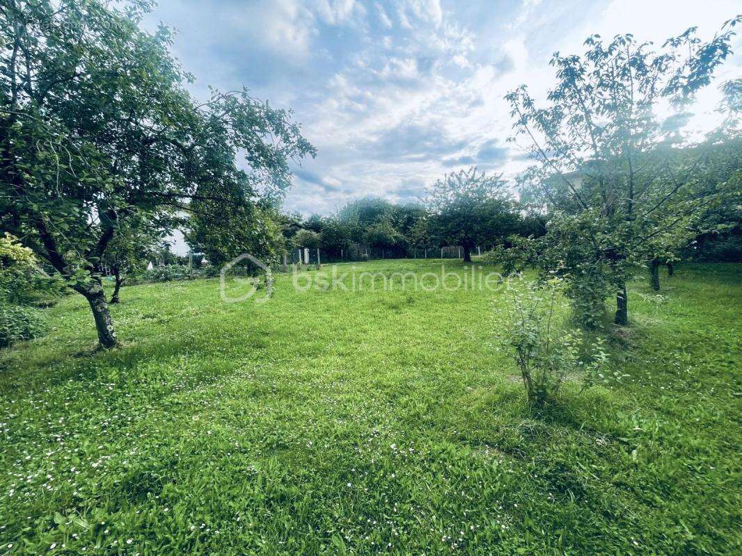 Terrain à vendre  887 m² à Blagnac - photo 5