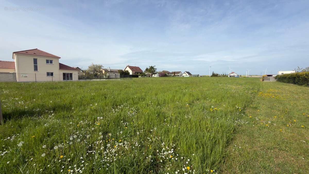 Terrain à SAINTE-MAURE