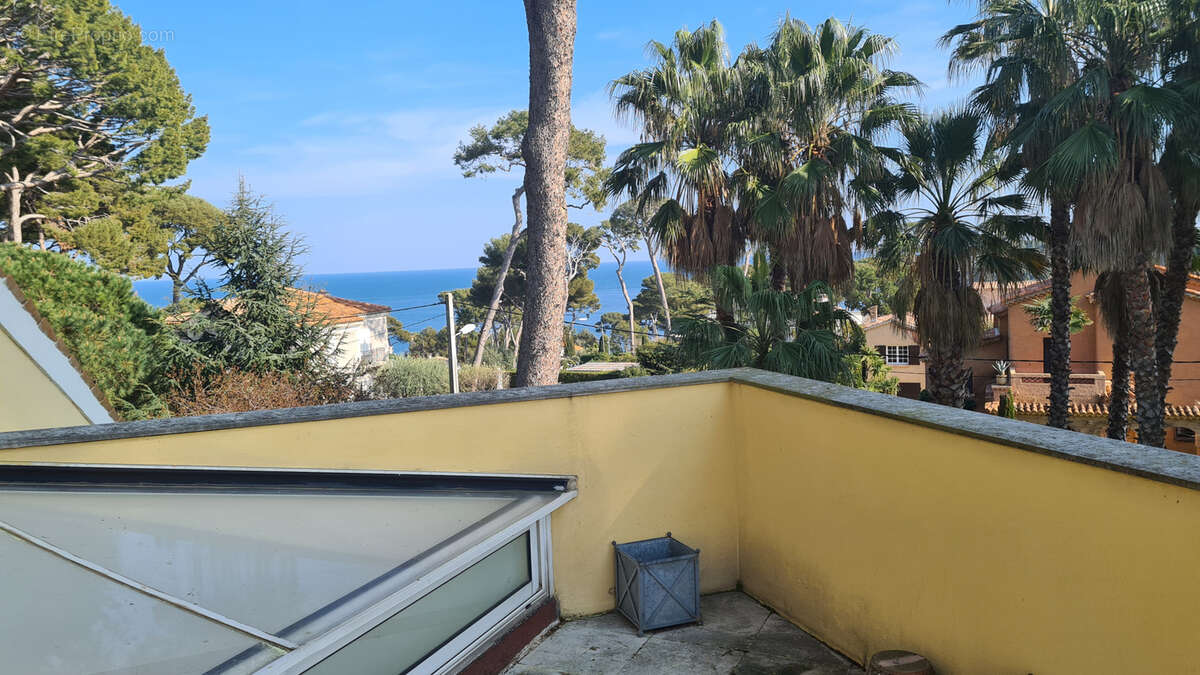 Maison 450 m² à Antibes  - photo 6