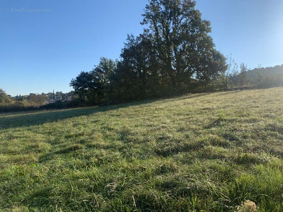 Terrain à RIVIERES